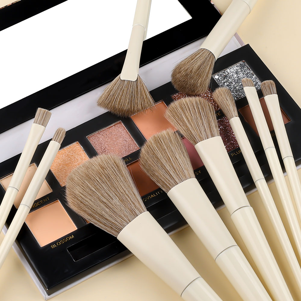 Professional 10PCS Makeup Brus - Beauty Makeup Gift Sets 评论和价格