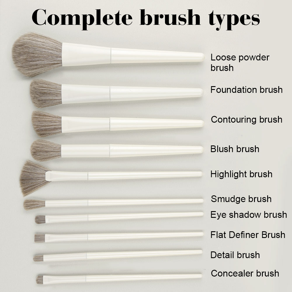 Professional 10PCS Makeup Brus - Beauty Makeup Gift Sets 评论和价格